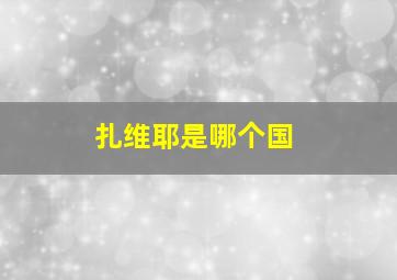 扎维耶是哪个国