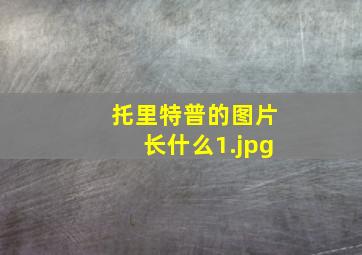 托里特普的图片长什么
