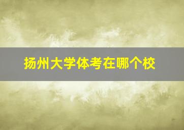 扬州大学体考在哪个校