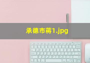 承德市蒋