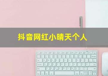 抖音网红小晴天个人