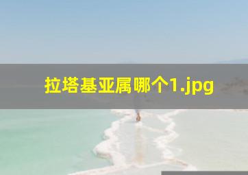 拉塔基亚属哪个