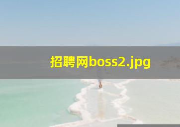 招聘网boss