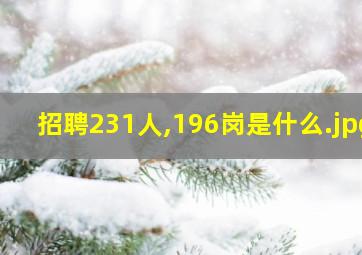 招聘231人,196岗是什么