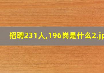 招聘231人,196岗是什么