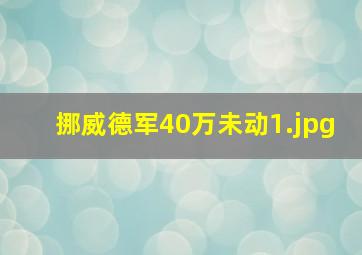 挪威德军40万未动
