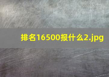排名16500报什么