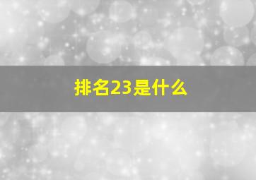 排名23是什么