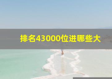 排名43000位进哪些大