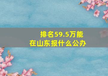 排名59.5万能在山东报什么公办