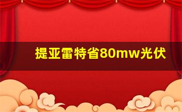 提亚雷特省80mw光伏