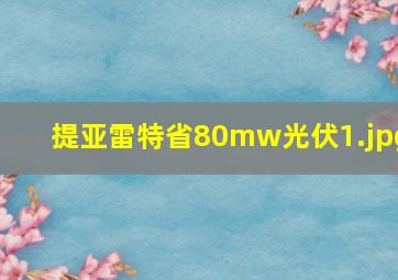 提亚雷特省80mw光伏