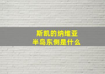 斯凯的纳维亚半岛东侧是什么