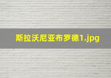 斯拉沃尼亚布罗德