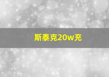 斯泰克20w充