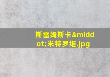 斯雷姆斯卡·米特罗维