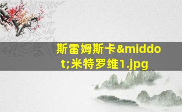 斯雷姆斯卡·米特罗维