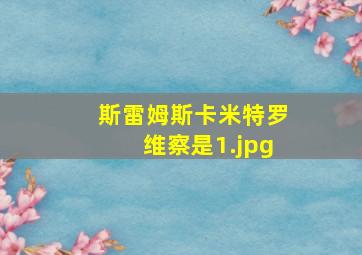 斯雷姆斯卡米特罗维察是