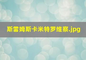 斯雷姆斯卡米特罗维察