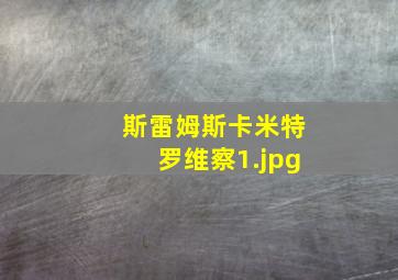斯雷姆斯卡米特罗维察