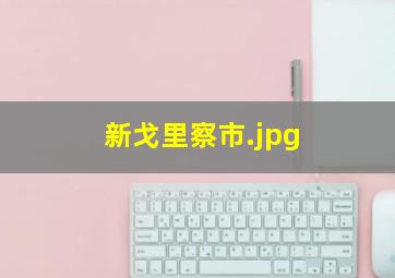 新戈里察市