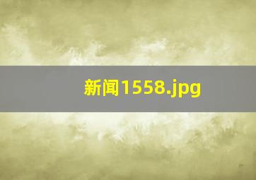 新闻1558