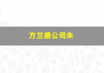方兰德公司朱