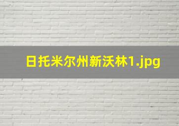 日托米尔州新沃林