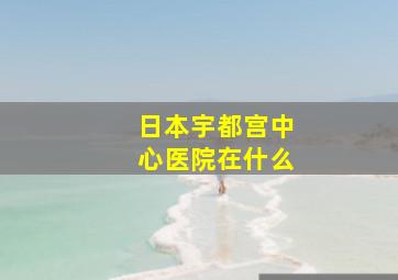 日本宇都宫中心医院在什么
