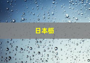 日本枥