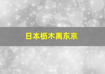 日本枥木离东京