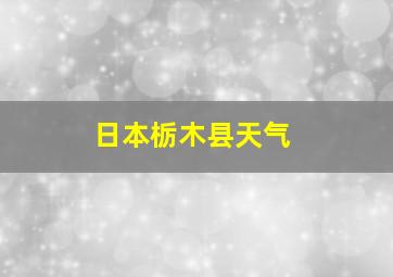 日本栃木县天气