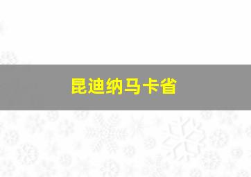 昆迪纳马卡省
