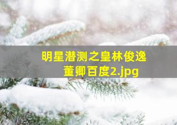 明星潜测之皇林俊逸董卿百度