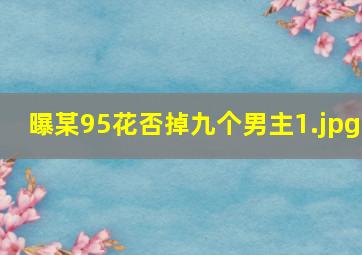 曝某95花否掉九个男主