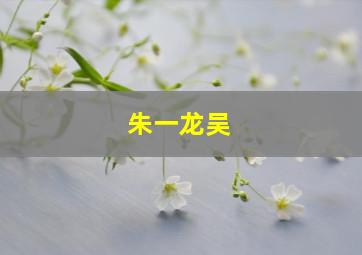 朱一龙吴