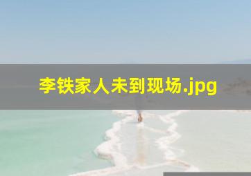 李铁家人未到现场