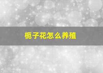 枙子花怎么养殖
