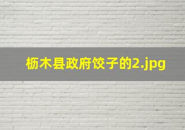 枥木县政府饺子的
