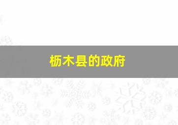 枥木县的政府