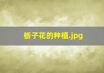 栃子花的种植