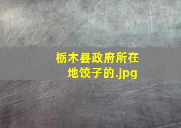 栃木县政府所在地饺子的