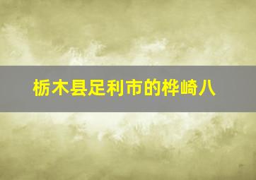 栃木县足利市的桦崎八