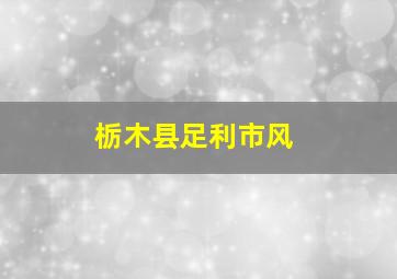 栃木县足利市风