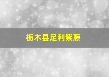 栃木县足利紫藤