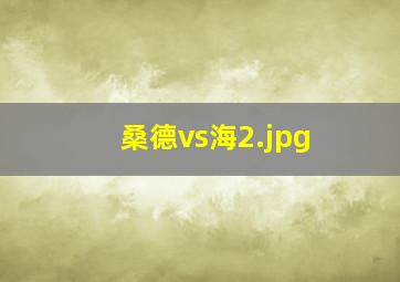 桑德vs海