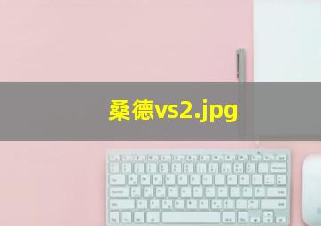 桑德vs