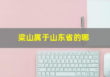 梁山属于山东省的哪