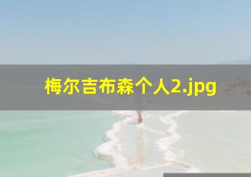 梅尔吉布森个人
