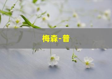 梅森-普